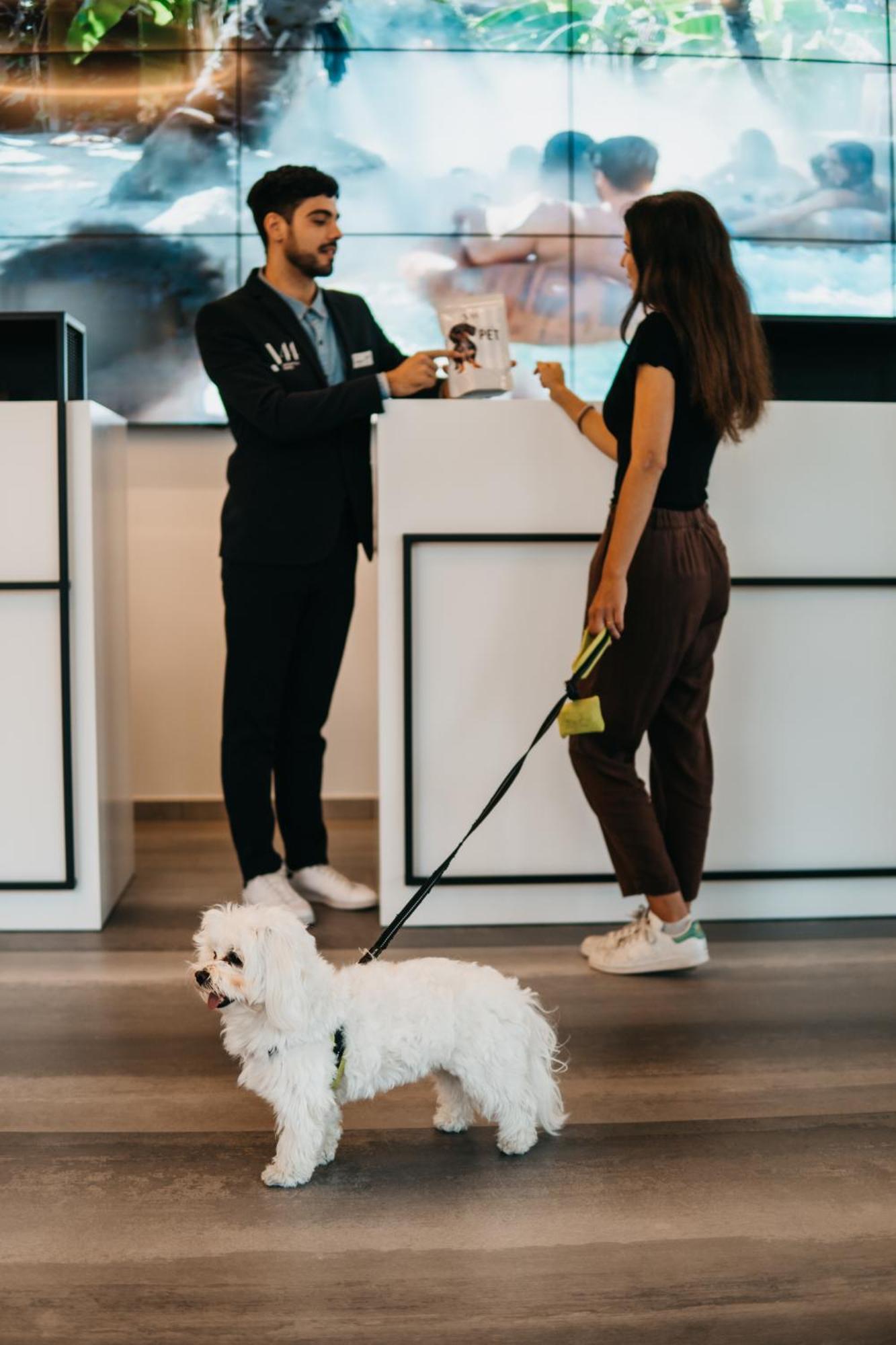 J44 Lifestyle Hotel Lido di Jesolo Exteriör bild Dog at the reception of a hotel